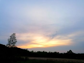 Silhouette trees on field against sky during sunset