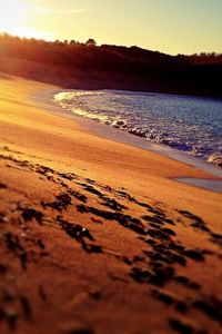 Scenic view of beach at sunset