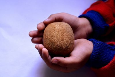 Close-up of hand holding eggs