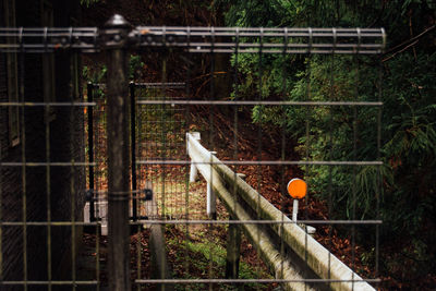 Orange reflector by railing in forest