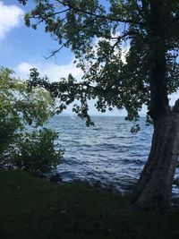 Scenic view of calm sea against clear sky