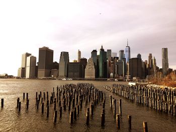 Wooden posts in river against modern buildings