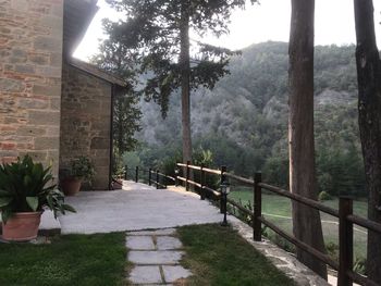 Footpath amidst trees and buildings