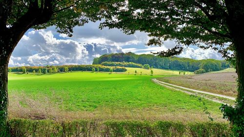 Scenic view of agricultural field against sky