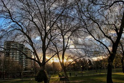 Bare trees against sky in city