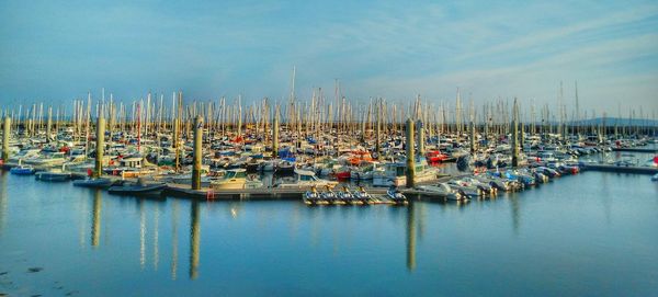 Sailboats moored at harbor against sky