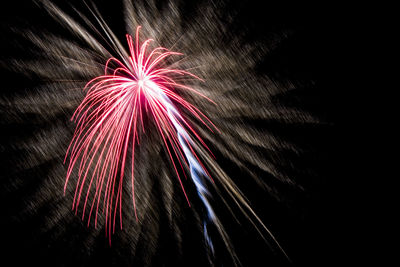 Low angle view of firework display at night