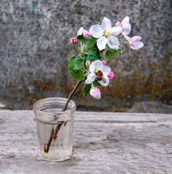 Close-up of white rose on table