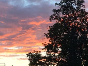 Low angle view of silhouette tree against sky during sunset