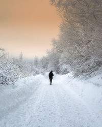 Rear view of person walking on snow covered land