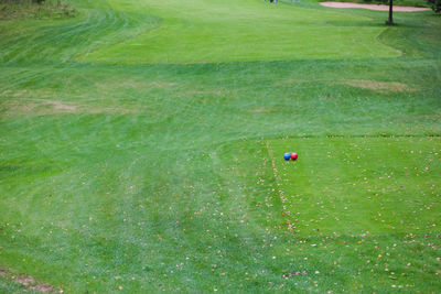 High angle view of balloons on field