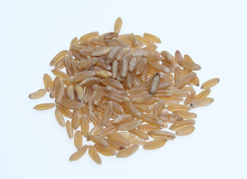 Close-up of pasta