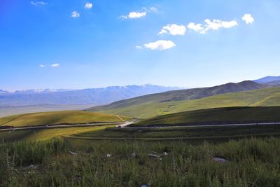 Scenic view of field against sky