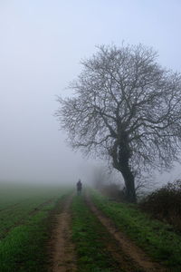 Man walking on road amidst field against sky