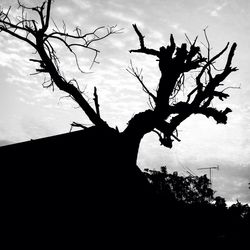 Low angle view of silhouette bare trees against cloudy sky