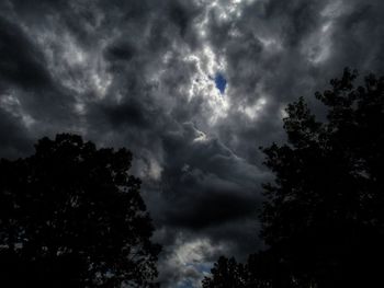 Low angle view of trees against storm clouds