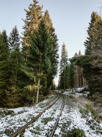 Road amidst trees against clear sky