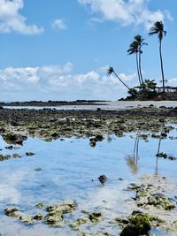 Scenic view of beach against sky