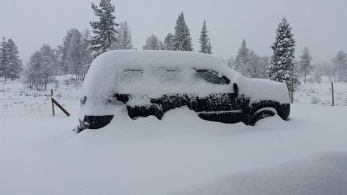 White car on snow covered landscape during winter