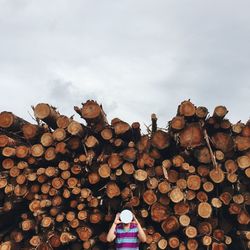 Stack of stones on log