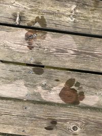 Full frame shot of wooden floor