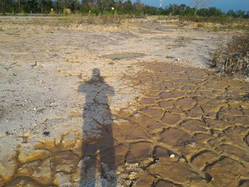 Shadow of man on field