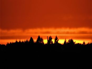 Silhouette trees against dramatic sky during sunset