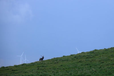 Wind turbines on field against clear blue sky