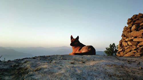 Cat relaxing on rock against sky