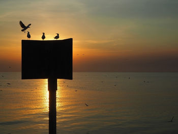 Silhouette birds on sea against sky during sunset