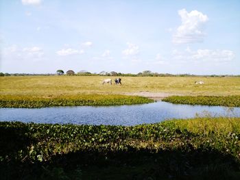 High angle view of stream amidst landscape against sky