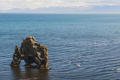 The majestic sea stack hvítserkur in north iceland