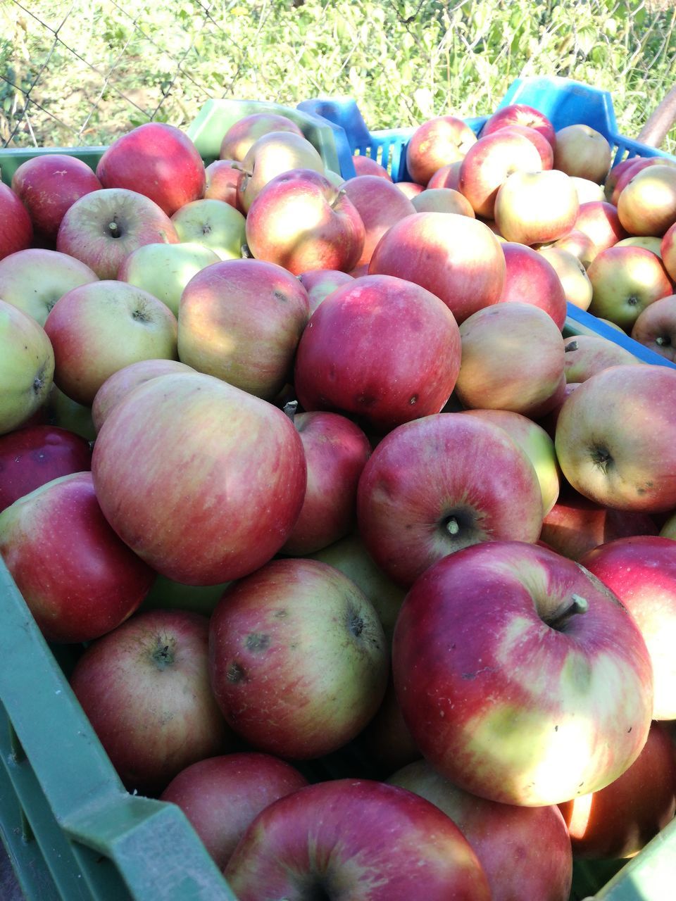 HIGH ANGLE VIEW OF APPLES AT MARKET STALL