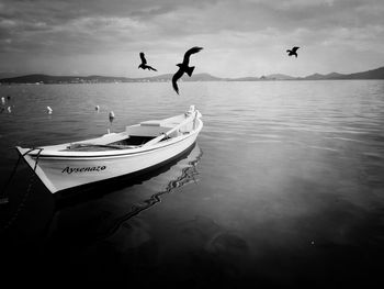 Birds flying over sea against sky