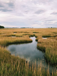 Scenic view of agricultural field against sky