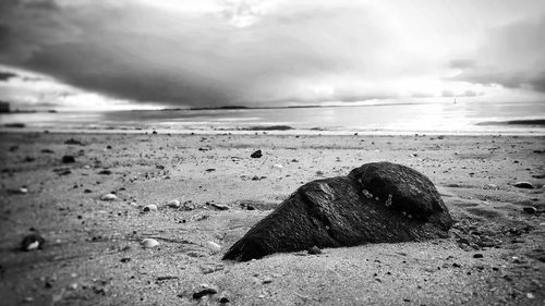 Scenic view of beach against cloudy sky