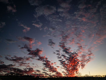 Low angle view of silhouette trees on field against sky at sunset