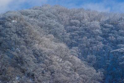 snow