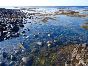 Surface level of pebble beach