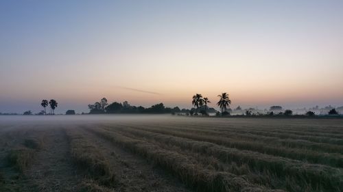 Scenic view of field against sky during sunset