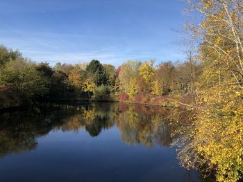 Trees by lake against sky during autumn