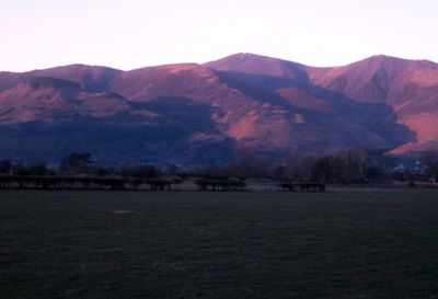 Scenic view of field and mountains against clear sky