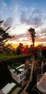 Plants and chairs on field against sky during sunset