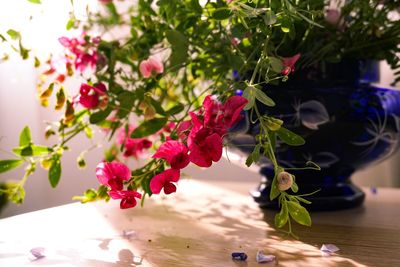 Close-up of red flowers