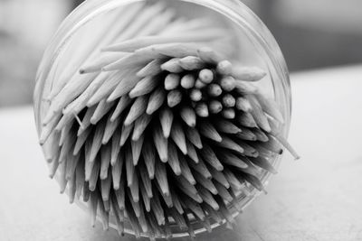 Close up of toothpicks in container on table