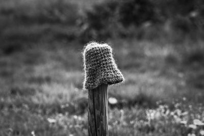 Close-up of woolly hat on post 