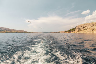 Seagulls flying over sea against sky