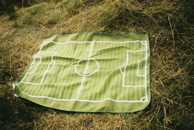 High angle view of corn on field