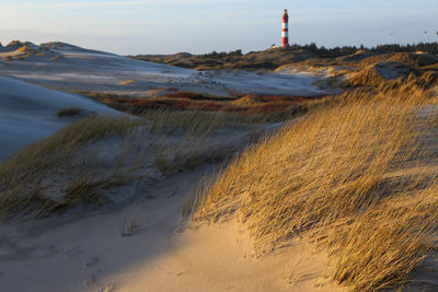 Scenic view of beach against sky during winter