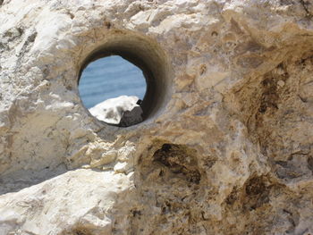 Close-up of hole on rock